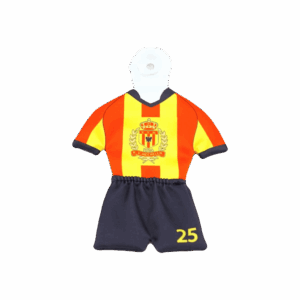 Personalisiertes Mini-Trikot