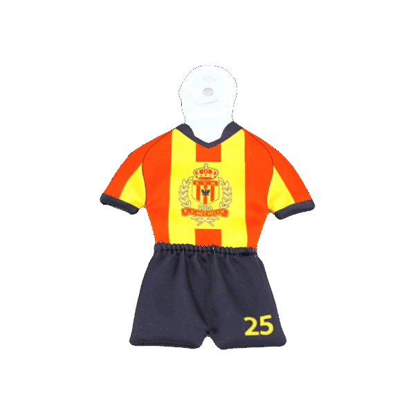 Personalisiertes Mini-Trikot